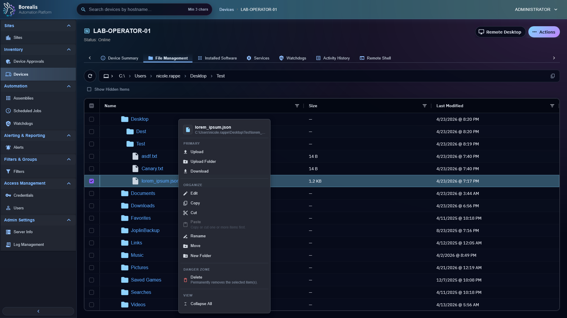 Borealis Agent File Management